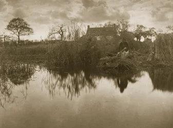 Raccolta del Gladdon, c.1886